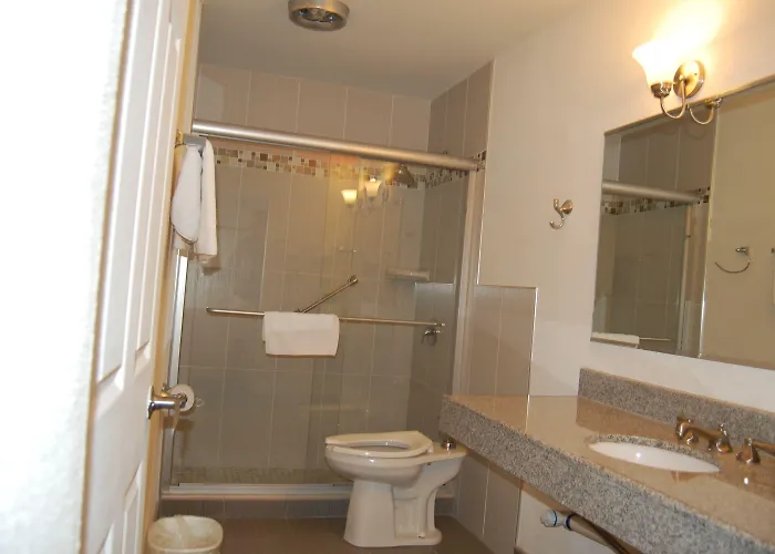 Colony 2* Brookfield
